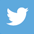 twitter icon